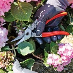 Leonard Straight Blade Pruning Shears, 8.625-inch Length -Starry Sky Garden 1204 4