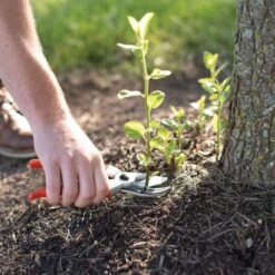 Traditional Bypass Pruners By A.M. Leonard, 1in Cutting Capacity, Lifetime Warranty 19 Traditional Bypass Pruners By A.M. Leonard, 1in Cutting Capacity, Lifetime Warranty -Starry Sky Garden 1286 8