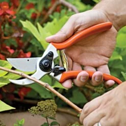 Traditional Bypass Pruners By A.M. Leonard, 1in Cutting Capacity, Lifetime Warranty 17 Traditional Bypass Pruners By A.M. Leonard, 1in Cutting Capacity, Lifetime Warranty -Starry Sky Garden 1286 9