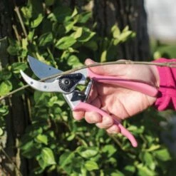 Pink Leonard Traditional Bypass Pruner With Case 8 Pink Leonard Traditional Bypass Pruner With Case -Starry Sky Garden 1286pcom 2