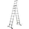 Telesteps 10-Foot Professional Telescoping Combination Ladders -Starry Sky Garden 14es