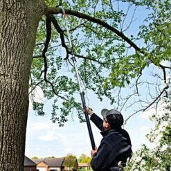 Leonard 4-Section Aluminum Telescopic Pole Saw With 16-Inch Blade -Starry Sky Garden 18tps live vert7