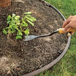 Asparagus Weeder Steel Knife -Starry Sky Garden 19ak live 7.20.22