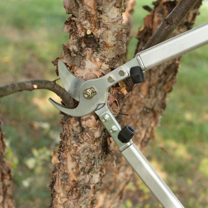 Leonard 20in Professional Lifetime Lopper 1.5in Capacity 7 Leonard 20in Professional Lifetime Lopper 1.5in Capacity - Image 5