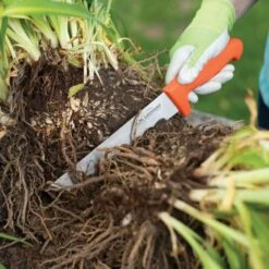 Leonard Wavy Edge Stainless Steel Cut-All Knife, 8-Inch Blade -Starry Sky Garden 4041t 6