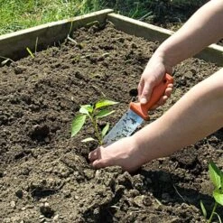 Leonard Classic Soil Knife And Sheath Combo 8 Leonard Classic Soil Knife And Sheath Combo -Starry Sky Garden 4750com 2 1