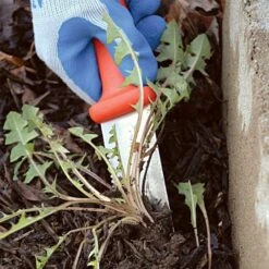 Leonard Classic Soil Knife And Sheath Combo 9 Leonard Classic Soil Knife And Sheath Combo -Starry Sky Garden 4750com 3 1