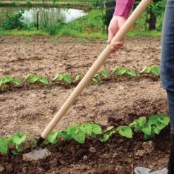 PROHOE 5.5-inch Garden Hoe -Starry Sky Garden 575g 4