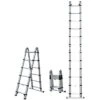 Telesteps A-Frame And Extension Ladder 1 Telesteps A-Frame And Extension Ladder -Starry Sky Garden 612tc