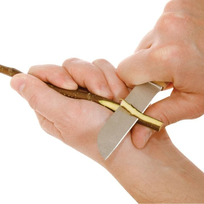 Dexter Jumbo Grafting Knife 5 Dexter Jumbo Grafting Knife - Image 3