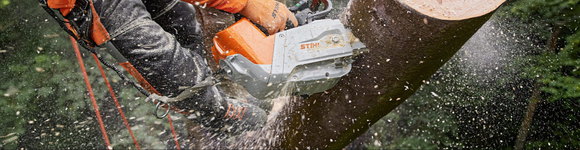 Starry Sky Garden -Starry Sky Garden L G@UX0MDG8W0ZP3YIHD