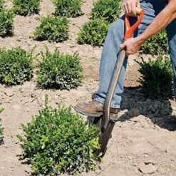 Leonard Classic Full-Strap Spade, D-Grip Handle -Starry Sky Garden a13m 7