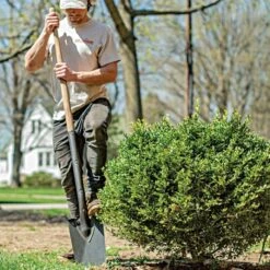 Leonard Classic Full-Strap Spade, Straight Handle 9 Leonard Classic Full-Strap Spade, Straight Handle -Starry Sky Garden a13ml 3