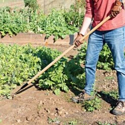 Leonard Cape Cod Weeder With 60" Wood Handle -Starry Sky Garden acw60 2