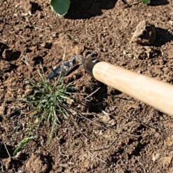 Leonard Cape Cod Weeder With 60" Wood Handle -Starry Sky Garden acw60 3