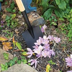 Leonard Floral Shovel Straight Handle -Starry Sky Garden afs210 4