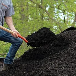 Leonard 10-Tine Forged Steel Scoop Fork With 48-Inch Straight Handle 14 Leonard 10-Tine Forged Steel Scoop Fork With 48-Inch Straight Handle -Starry Sky Garden amf10l 5 1