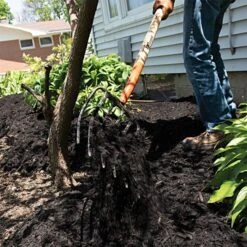 Leonard 6 Tine Forged Steel Manure Forks -Starry Sky Garden amf6 9 1