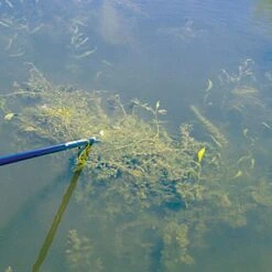 Aquatic Rake Weed Eradicator -Starry Sky Garden awe 3 1