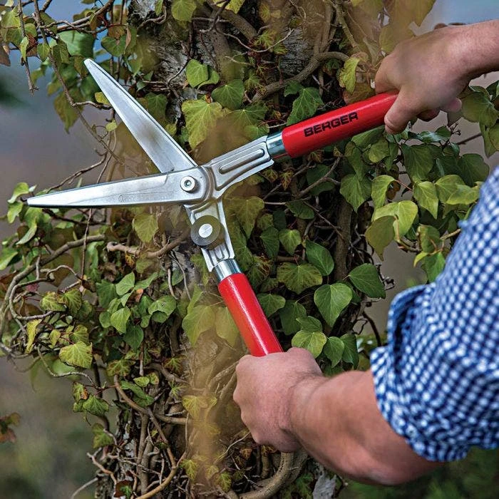 Berger Compact Precision Topiary Shear With Wooden Handles 5 Berger Compact Precision Topiary Shear With Wooden Handles - Image 3