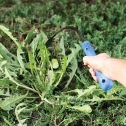 CobraHead Weeder And Cultivator, 13-inch Handle -Starry Sky Garden chead 3