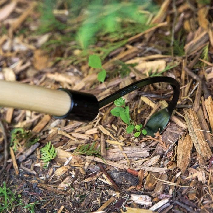 Long Handle Cobrahead Weeder And Cultivator 6 Long Handle Cobrahead Weeder And Cultivator - Image 4