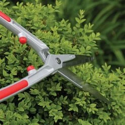 ARS Topiary-Shrub Hedge Shears 11 ARS Topiary-Shrub Hedge Shears -Starry Sky Garden kr1000 3 1