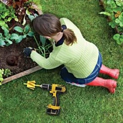 Starry Sky Garden -Starry Sky Garden mbx px 1