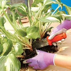 LEONARD 1235 PRUNER 4752 DELUXE SOIL KNIFE SPK8 SHEATH COMBO -Starry Sky Garden pkcom2 8