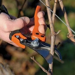 Bahco Professional Ergonomic Pruners, 0.75-inch Cutting Capacity -Starry Sky Garden pxm2 4