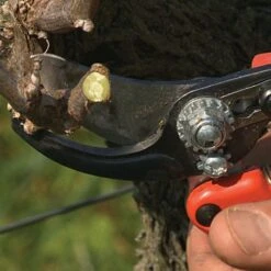 Bahco Professional Ergonomic Pruners, 0.75-inch Cutting Capacity -Starry Sky Garden pxm2 5