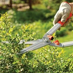 Leonard 9in Straight Blade Hedge Shears 10 Leonard 9in Straight Blade Hedge Shears -Starry Sky Garden vp 912xx 1 32