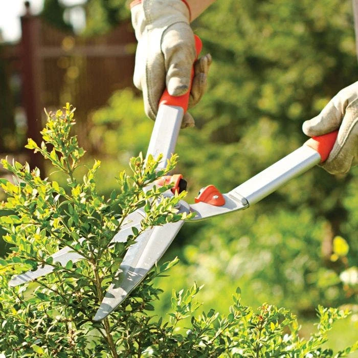 Leonard 9in Straight Blade Hedge Shears 5 Leonard 9in Straight Blade Hedge Shears - Image 3